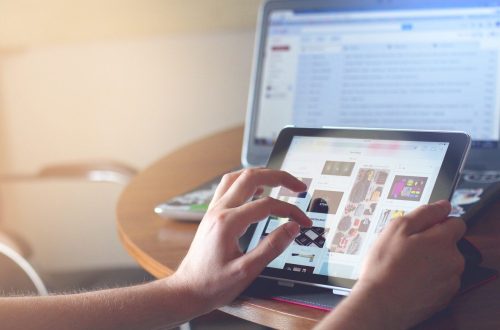 theme shopify